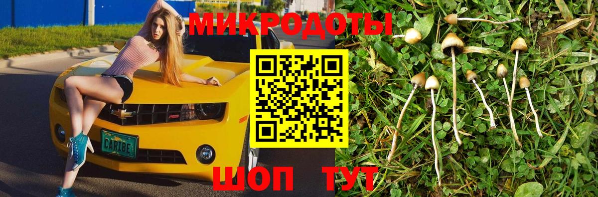 Избербаш  Псилоцибиновые грибы мицелий  Вход с VPN 